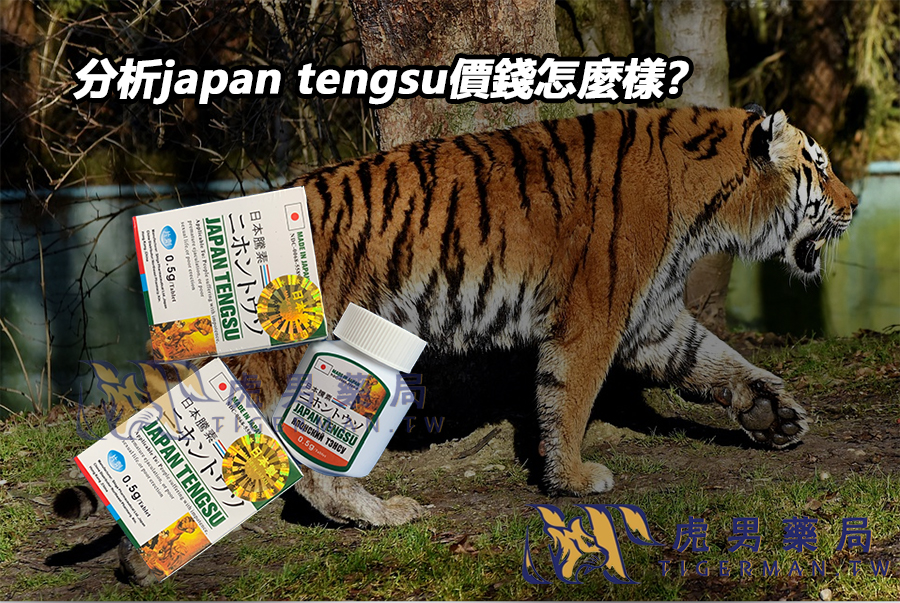分析japan tengsu價錢怎麼樣？