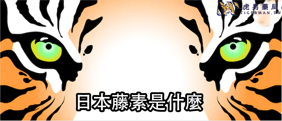 日本藤素是什麼